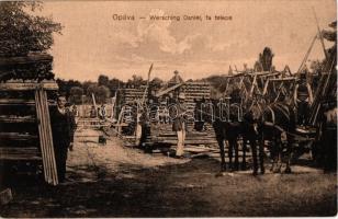 Ópáva, Oppova, Opovo; Werschig Dániel fatelepe és saját kiadása, lovaskocsi / lumber yard and horse cart