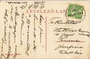 1913 Újvidék, Novi Sad; Vashíd, vasúti híd. Urbán Ignácz kiadása / railway bridge (EK)