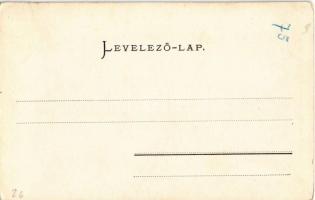 1905 Oravica, Oravita; színház. Weisz Félix kiadása / Theater / theatre  (Rb)