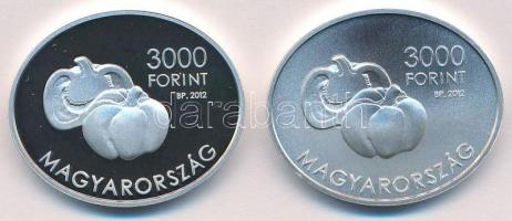 2012. 3000Ft Ag "Szent-Györgyi Albert" (2xklf) mindkettő tanúsítvánnyal T:PP,BU
Adamo EM2...