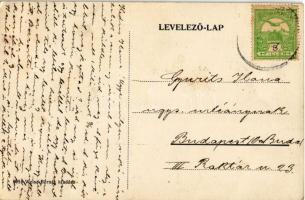 Gyulafehérvár, Karlsburg, Alba Iulia; Püspöki palota kertje / bishop's palace, garden