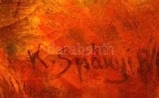 Spányi jelzéssel: Kilátás a tisztásra. Olaj, vászon, sérült keretben, 40×80 cm