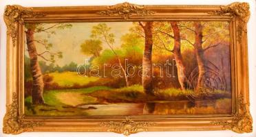 Spányi jelzéssel: Kilátás a tisztásra. Olaj, vászon, sérült keretben, 40×80 cm