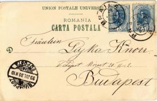 1899 Lacu Sarat (Braila), Grádina engleza / park