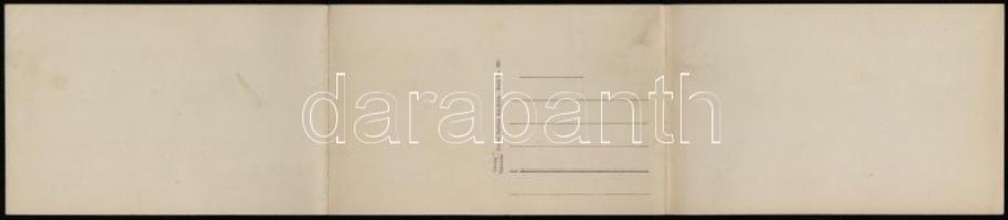 Pljevlja, Kamenitza; 3-tiled panoramacard (EK)