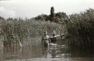 Balatonmáriafürdő, Tihany, Balatonfüred feliratú tasakokban, 1962 és 1974 között készült 150 db vint...