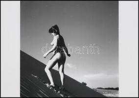 A női ruhák titkai feltárulnak, szolidan erotikus felvételek az 1970-es évekből, 8 db vintage negatí...