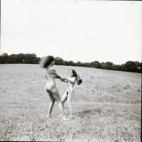 Természetes szépségek, természeti környezetben, szolidan erotikus felvételek az 1980-es évekből, 7 d...