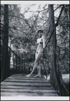 Természetes szépségek, természeti környezetben, szolidan erotikus felvételek az 1980-es évekből, 7 d...