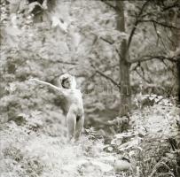 Szabadidős kikapcsolódás, szolidan erotikus felvételek az 1970-es évekből, 7 db vintage negatív + 1 ...