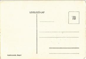 Boldog magyar újesztendőt! / Hungarian irredenta New Year greeting art postcard, Patriarchal cross s...