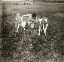 Se vele, se nélküle, szolidan erotikus felvételek az 1980-as évekből, 8 db vintage negatív + 1 db ma...