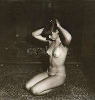 Alkalmi ismeretségek az 1970-es évekből, szolidan erotikus felvételek, 6 db vintage negatív + 1 db m...