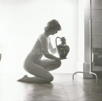 Alkalmi ismeretségek az 1970-es évekből, szolidan erotikus felvételek, 6 db vintage negatív + 1 db m...