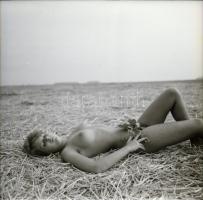 Titkos látványtár az 1980-as évekből, szolidan erotikus felvételek, 7 db vintage negatív + 1 db mai ...