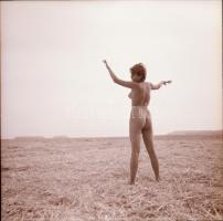 Titkos látványtár az 1980-as évekből, szolidan erotikus felvételek, 7 db vintage negatív + 1 db mai ...