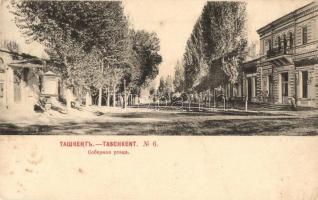 Taschkent, Tashkent, Toshkent; Sobornaya ulitsa / Cathedral street. Phototypie Scherer, Nabholz & Co. (fl)