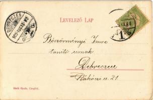 1905 Cegléd, Városháza, evangélikus és református templom, Pesti út, látkép a toronyból. Sárik Gyula...