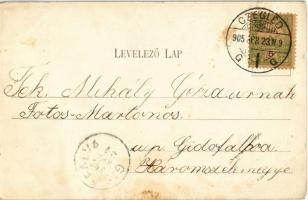 1905 Cegléd, Részlet a Malom utcából, szélmalom, Római katolikus és református templom. Sárik Gyula ...