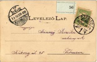 1902 Cegléd, Újváry A. gőzfürdő és természetes gyógyintézete / Dampfbad und Naturheilanstalt-Besitze...