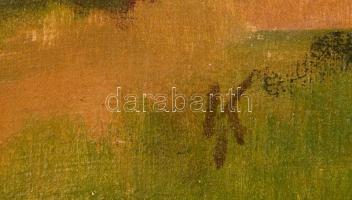 Kokas Ignác (1926-2009): Váli táj. Olaj, vászon, jelzett, sérült keretben, 50×60 cm