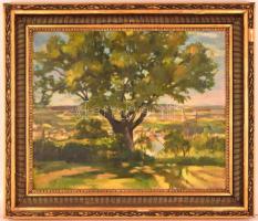 Kokas Ignác (1926-2009): Váli táj. Olaj, vászon, jelzett, sérült keretben, 50×60 cm