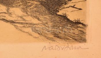 Zádor István (1882-1963): Halászat. Színezett rézkarc, karton, jelzett,üvegezett keretben, 35×21 cm