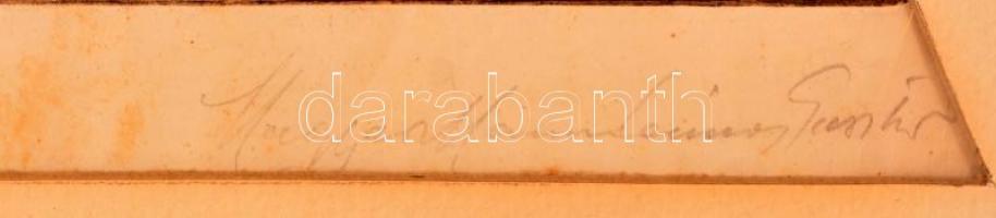 Magyar Mannheimer Gusztáv (1859-1937): Fekvő női akt. Rézkarc, papír, jelzett, üvegezett keretben, 2...