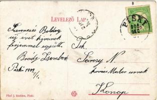 1908 Piski, Simeria; Aranyi átjárás a komppal. Főző J. kiadása / ferry crossing the Mures river to U...