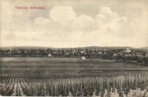 1912 Berhida, látkép, szőlőskert, szőlő ültetvény