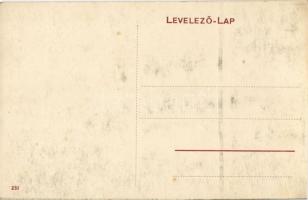 Szatmárnémeti, Szatmár, Satu Mare; Viktória szálloda / hotel