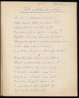 1919-1920 Zombor, Störteczky Gizi: Versek 1919-ből. 75 kézzel írt, számozott oldal. Félvászon füzetb...