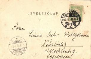 1902 Budapest II. Máriaremete, Szentkút, tehenek a gémeskútnál. Divald Károly 555. sz. (EB)