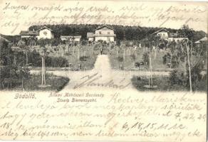 1905 Gödöllő, Állami Méhészeti Gazdaság, kaptárok. Kiadja Nemesánszky Józsefné