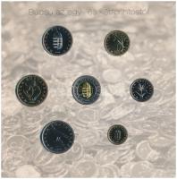 2008. 1Ft-100Ft (7xklf) "Búcsú az egy- és kétforintostól" forgalmi sor dísztokos szettben ...