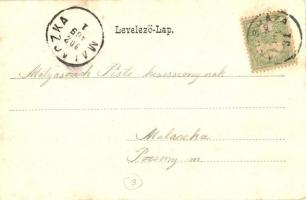 1902 Jánosháza, Jánosházai Fogysaztási Szövetkezet üzlete, Otthon kávéház. Grünhut győrszigeti fényk...