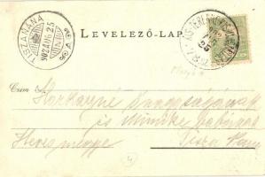 1902 Kál, Kaál; Kál-Kápolna vasútállomás, létra. Kiadja a Baross nyomda + KIS-TERENNE-KIS-UJSZÁLLÁS ...