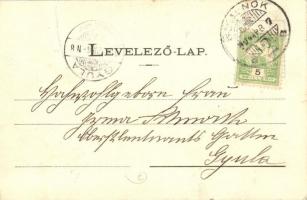 1904 Szolnok, Sétatér a Tisza híd felé. Szigeti H. udv. fényképész felvétele (fl)