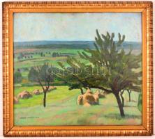 Zádor István (1882-1963): Kilátás a dombról 1912. Olaj, karton, jelzett, üvegezett keretben, 48×55 c...