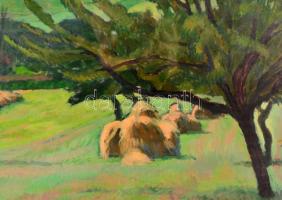 Zádor István (1882-1963): Kilátás a dombról 1912. Olaj, karton, jelzett, üvegezett keretben, 48×55 c...