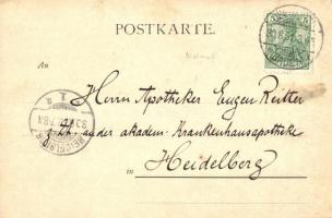 1901 Schwarzwald, Schwarzwaldhaus. Vertrieb G. Röbcke, Freiburg / Black Forest house (byre-dwelling)...