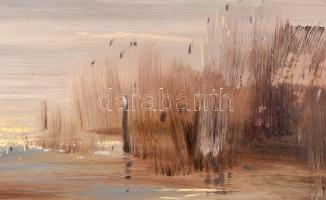 Vágfalvi Ottó (1925-2015) : Nádas széle. Olaj, farost, jelzett, keretben, 30×40 cm