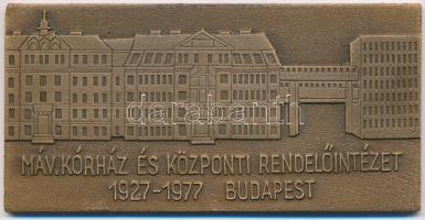 1977. Máv. Kórház és Központi Rendelőintézet 1927-1977, Budapest Br emlékplakett eredeti tokban (40x80mm) T:1-