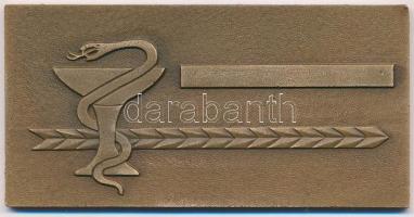 1977. "Máv. Kórház és Központi Rendelőintézet 1927-1977, Budapest" Br emlékplakett eredeti...