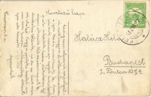 1911 Felsőveresmart, Nagykopány, Veresmart, Velika Kopanya; Fő utca, kézzel rajzolt művészlap / main...