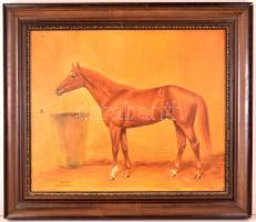 Kopátsy Sándor (?-): "Andor". Olaj, vászon, keretben, 50×60 cm