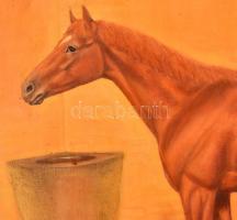 Kopátsy Sándor (?-): "Andor". Olaj, vászon, keretben, 50×60 cm