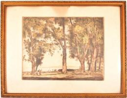 Herman Lipót (1884-1972): Balaton partján.Színezett rézkarc, papír, jelzett, üvegezett keretben, 28×...