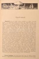 1893-1894 Otthon. Szépirodalmi művek képekkel. I. kötet. Fél évfolyam. Szerk.: Hevesi József. Bp., K...