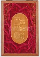 1978. "Labdarúgó VB Argentina" jelzetlen, stadion formájú aranyozott Ag? plakett tokban (5...